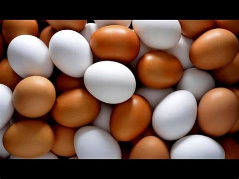 Ingredients of Fake Egg, eating effects of fake eggs - YouTube