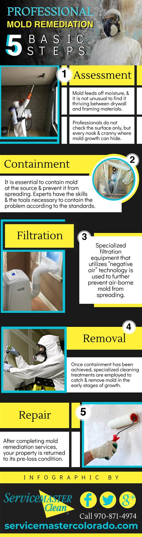 5 Basic Steps for Professional Mold Remediation – Infographic | Service ...