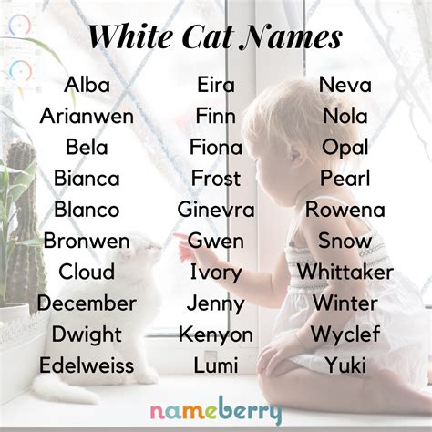 Cute Kitty Names For Black And White Cats