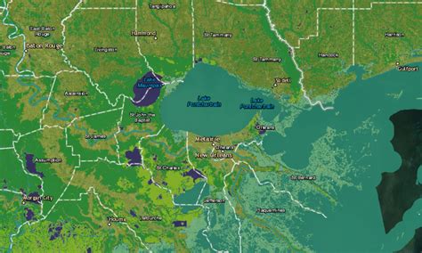 Use a Wetlands Map to Visualize the State of American Wetlands