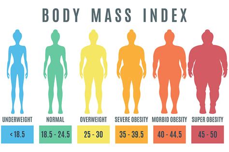 Female body mass index. Normal weight obesity and overweight illustrat ...