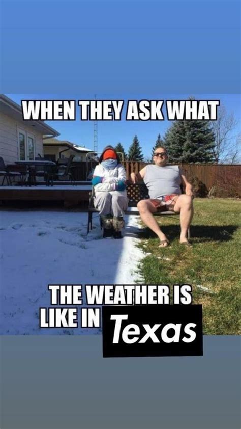 Cold Weather Memes