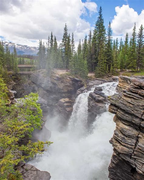 13 Things to KNOW Before Visiting Athabasca Falls, Jasper