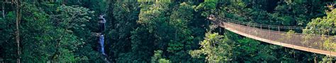 Rainforest Tours in Panama | Jungle Treks & Excursions | Evaneos