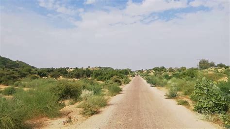 TharParkar Desert , Sindh. - YouTube