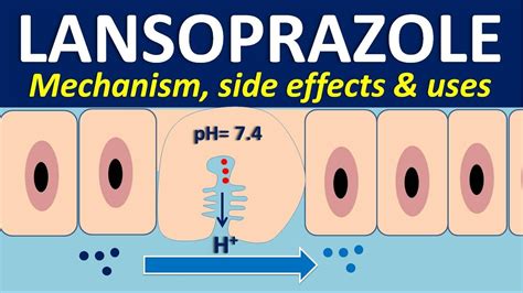 Lansoprazole - Mechanism, side effects, interactions and uses - YouTube