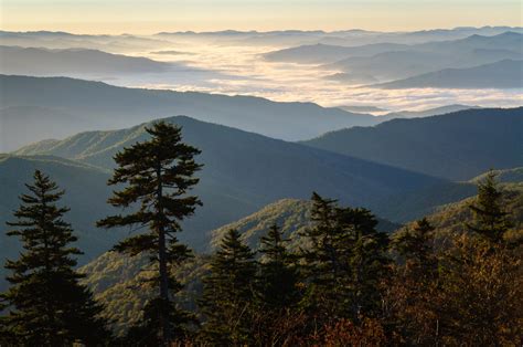 Things to Know About the Smoky Mountain Alpine Coaster in Pigeon Forge ...