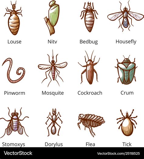 Internal Parasites Chart