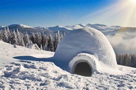 How Do Igloos Get Warm Inside? | Times Knowledge India