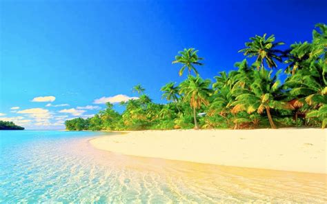 Hd Wallpaper Paradise Tropical Paradise Wallpaper High - Beautiful ...