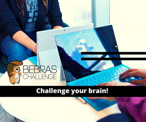 BEBRAS Cyprus Competition for Primary and Secondary School Students - CEPIS