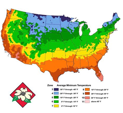 Gardening Zone Map 2024 - Pen Delcina