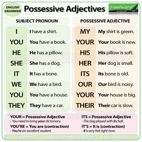 Possessive Adjectives | English Grammar Lesson with Exercises ...