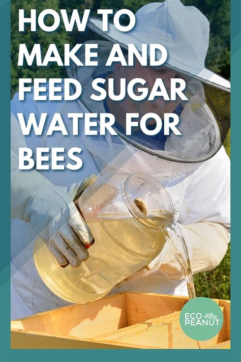 Sugar Water for Bees: Preparation and Feeding Guide