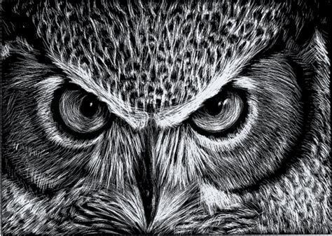 Owl Scratchboard by LuckyIrishEyes on DeviantArt