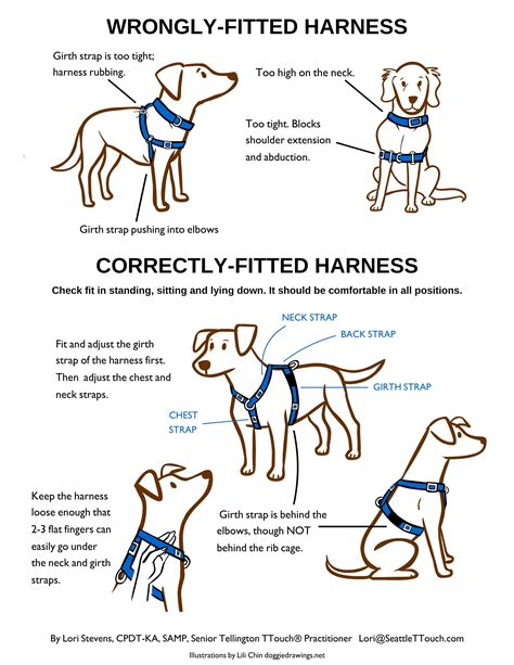 How Does A Dog Harness Work?