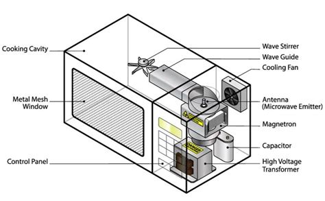 10 Parts of a Microwave You Should Know About