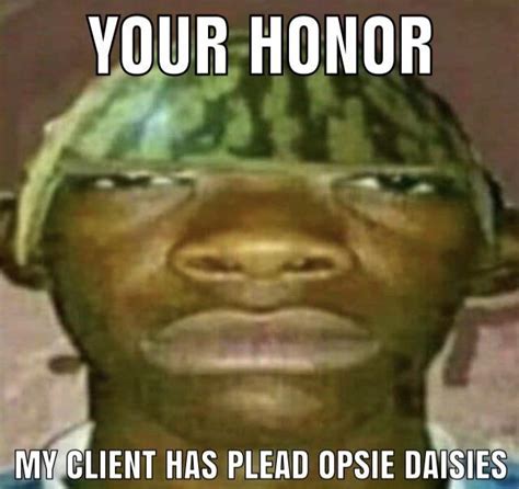 Your honor my client has plead oopsie daises | Your Honor | Know Your Meme