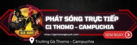 Trực Tiếp Đá Gà Từ Trường Gà C1 Thomo - Gà Chọi Huỳnh Long