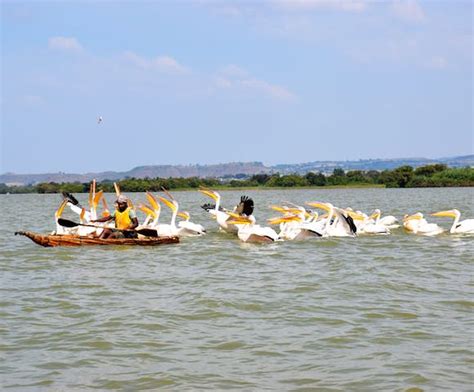 Lake Tana | Brilliant Ethiopia