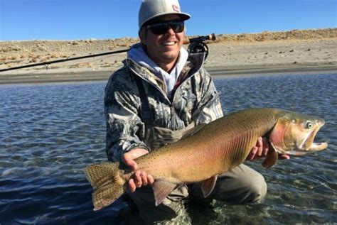 Pyramid Lake Fishing Report : 12.4.15 - Sierra Trout Magnet Fly Fishing ...