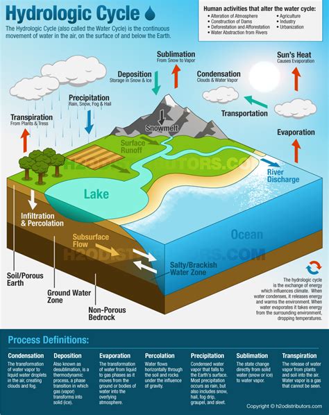 The Water Cycle Diagram (The Hydrologic Cycle) – H2O Distributors