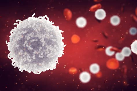 Understanding White Blood Cells and Differentials