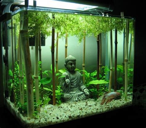 Ten of the Craziest and Most Unusual Small Fish Tanks Money Can Buy ...