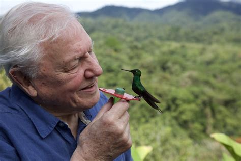 Life in Colour with David Attenborough | New Netflix Original ...