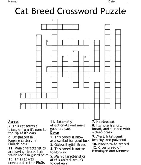 Cat Breed Crossword Puzzle - WordMint