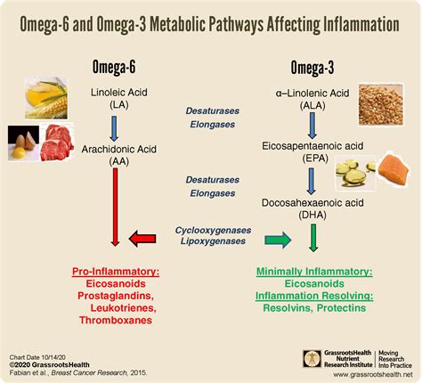 Higher Levels of Omega-3 Fatty Acids Shown to Reduce Risk of Breast ...