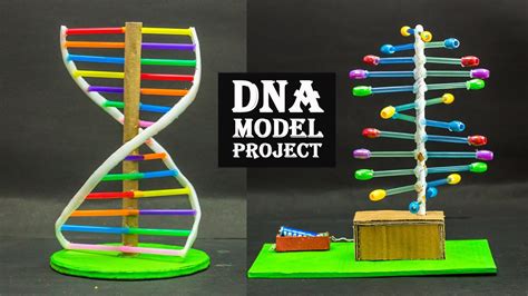 DNA Model Project - YouTube