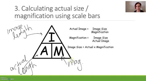 Magnification Science Formula at Wendy May blog