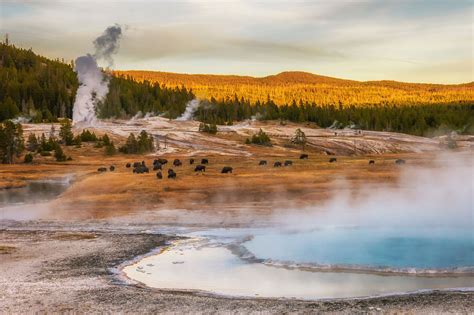 10 Reasons to Stop In Bozeman On Your Way To Yellowstone National Park