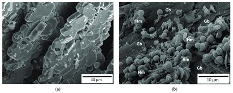 SEM images: gibbsite crystal bimineral film (a), gibbsite and hematite ...