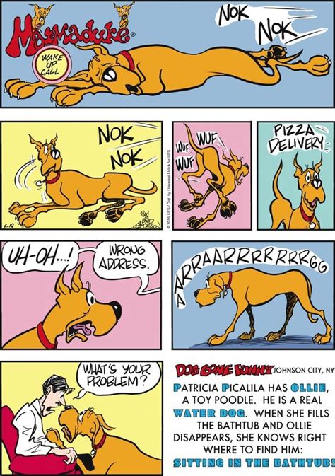 Marmaduke by Brad Anderson for June 19, 2016 | GoComics.com | Marmaduke ...