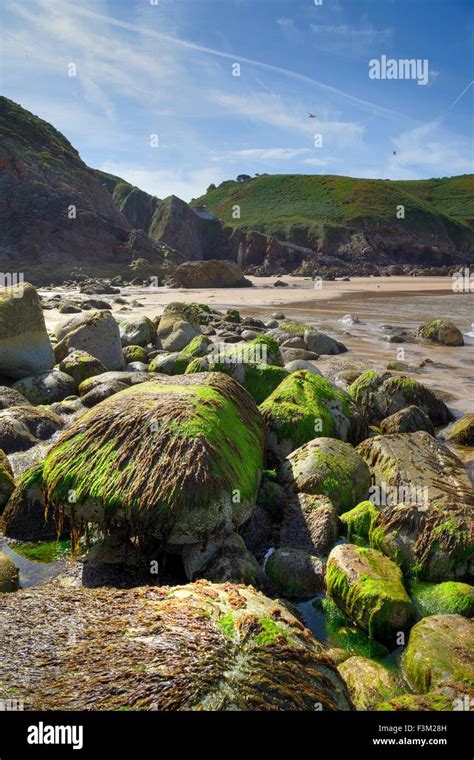 Plemont Bay, Jersey, British Isles Stock Photo - Alamy