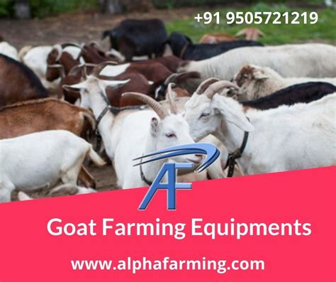 Goat Farming Equipment Suppliers in India – Alpha Farming Equipments