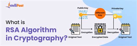 RSA Algorithm in Cryptography - What is, Examples and Benefits