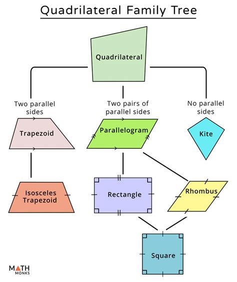 Quadrilateral Tree Diagram