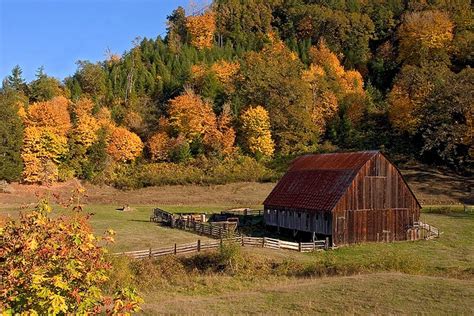 Fall Barn | Barn pictures, Old barns, Barn