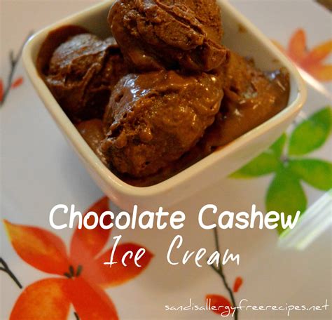 sandi's allergy free recipes: chocolate cashew ice cream