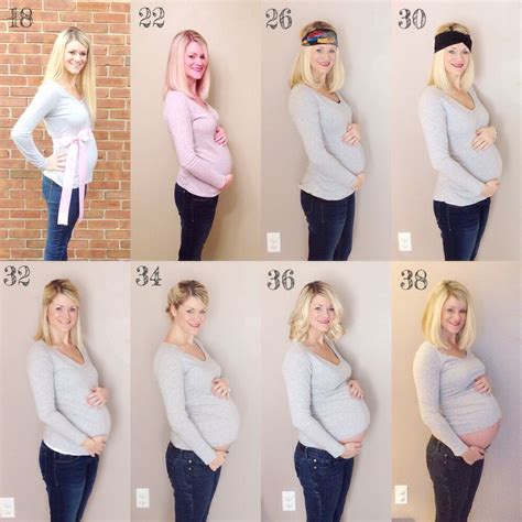 Pregnancy belly progression. 18 weeks -- 38 weeks pregnant. | 18 weeks ...