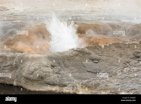 Boiling and steaming water in geyser vent at Fountain Paint Pots in ...