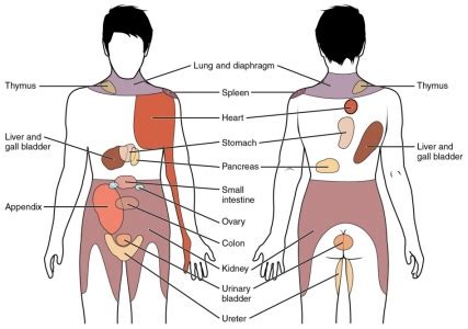 Spinal Masqueraders - Physiopedia