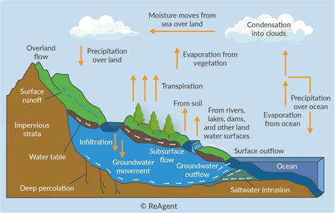 Condensation Water Cycle Diagram