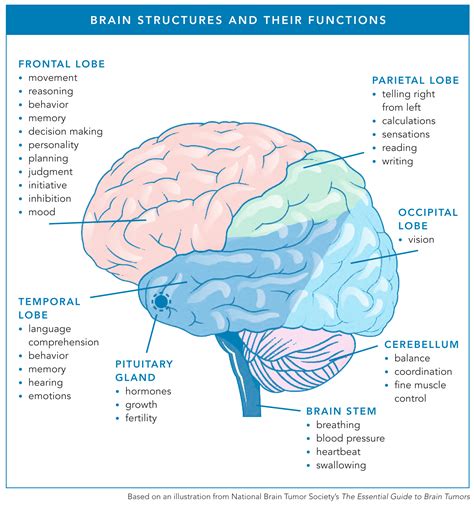 Types Of Brain Tumor