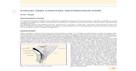 EYELID AND CANTHAL RECONSTRUCTION · ANATOMY The eyelids consist of ...