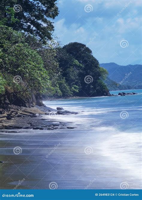 Panama tropical beach stock photo. Image of tropical - 264983124