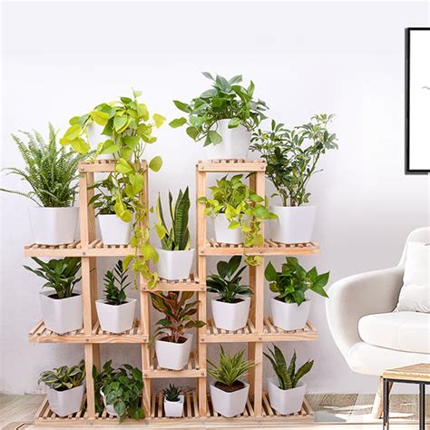 Buy Indoor Garden online from Nurserylive at lowest price.